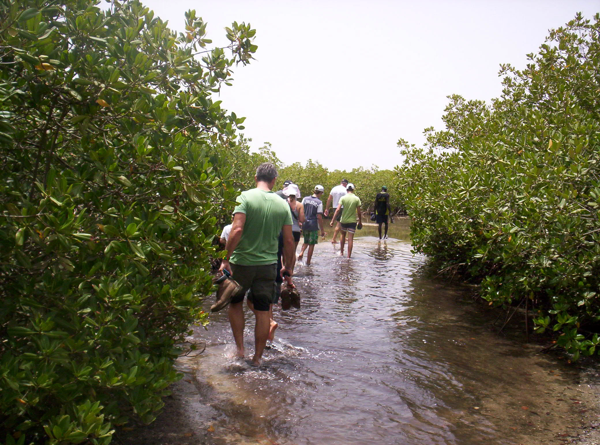 Forêt Noire — avril/mai 2026 2026 (4 à 5 jours)