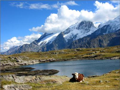 Tour des Alpes — 2026